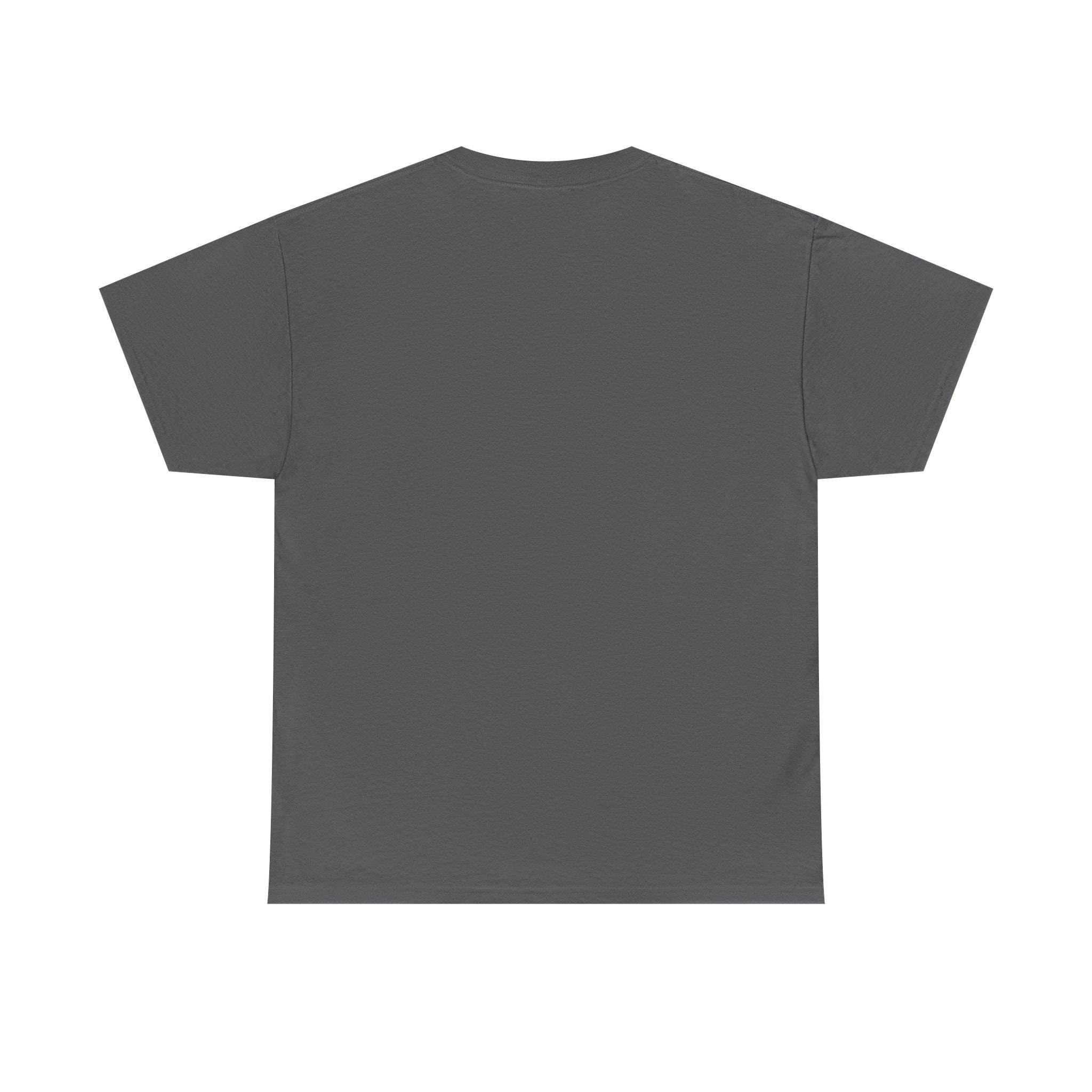 Book Lover T‑Shirt – “I Like Big Books and I Cannot Lie” Graphic Tee